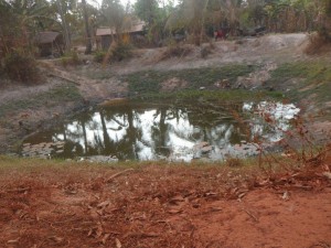 Household pond in the village